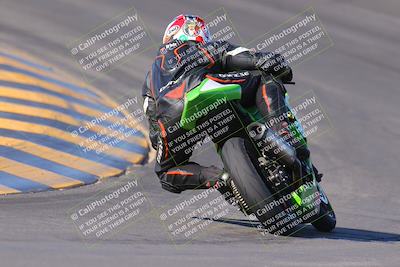 media/Nov-12-2023-SoCal Trackdays (Sun) [[5d1fba4e7d]]/Turn 10 Backside (115pm)/